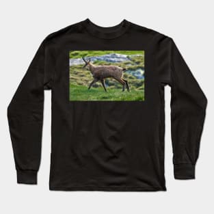 Male mountain goat Long Sleeve T-Shirt